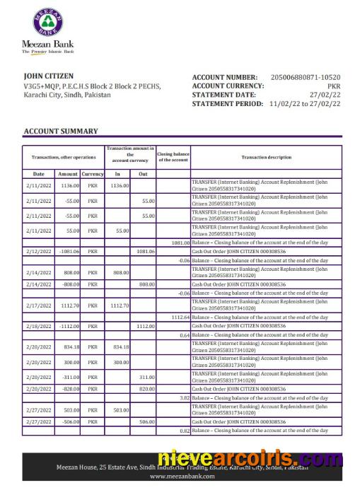 Pakistan Meezan bank statement xls
